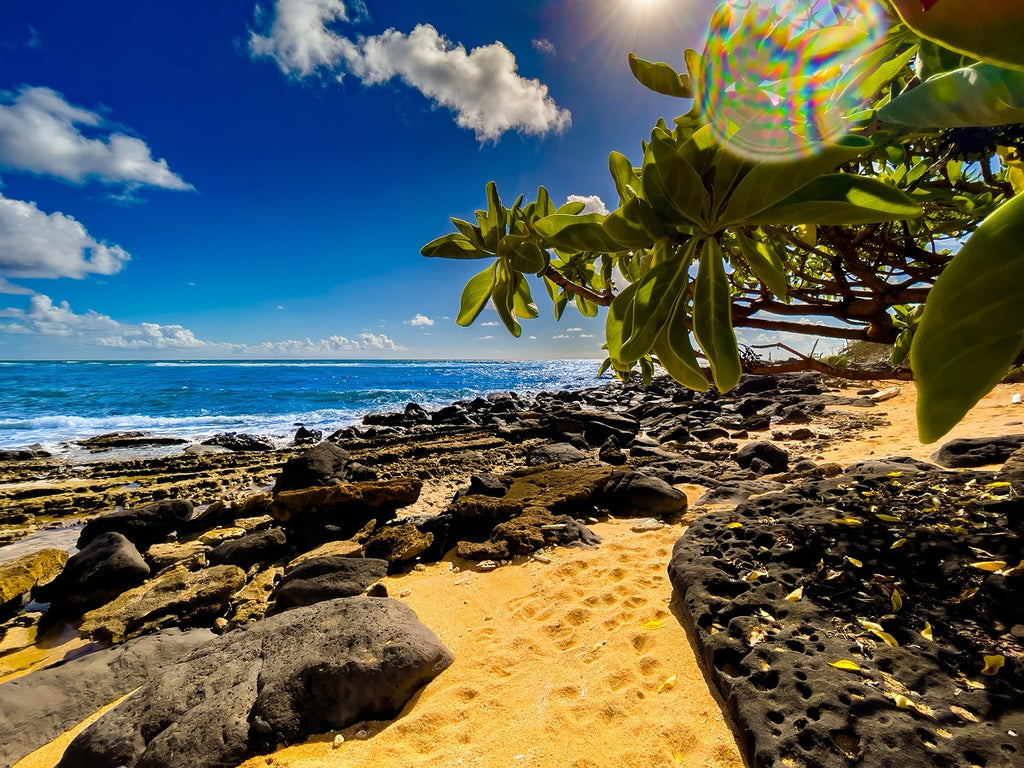 2501229 :: Giclée Fine Art Matte Paper Print