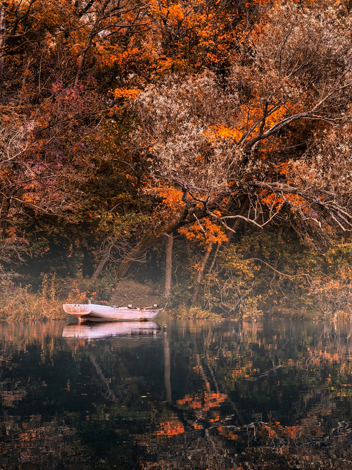 2497348 :: Giclée Fine Art Matte Paper Print