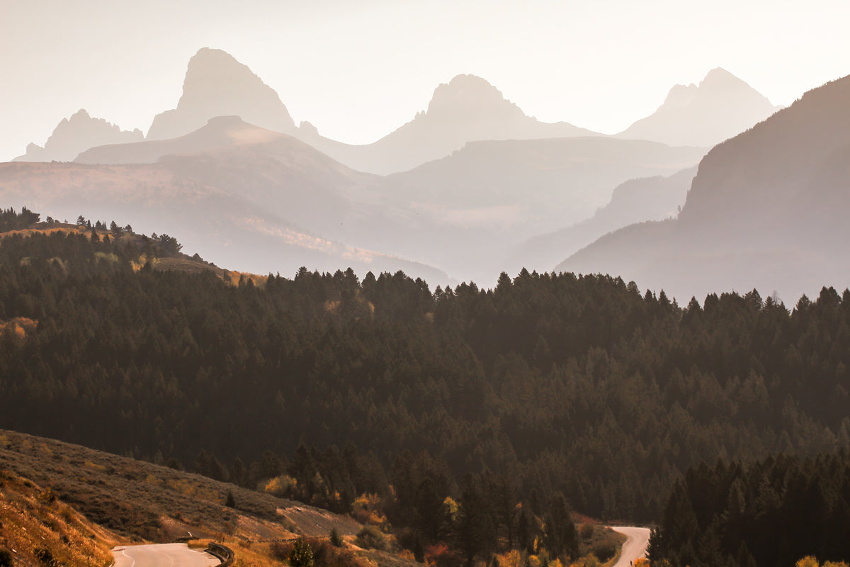 2501033 :: Giclée Rolled Canvas Print