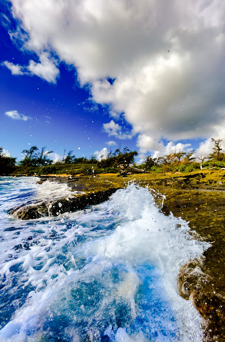 2501067 :: Giclée Fine Art Matte Paper Print