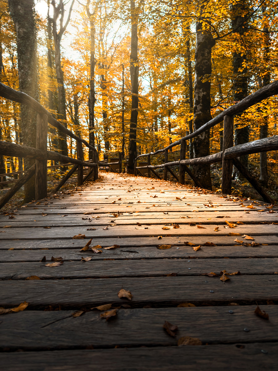 2496812 :: Giclée Fine Art Matte Paper Print