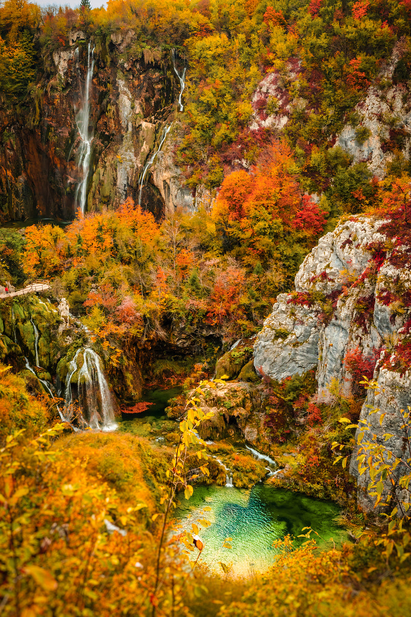 2496808 :: Giclée Fine Art Matte Paper Print