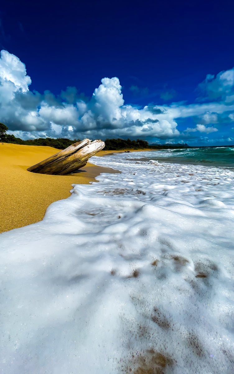 2501468 :: Giclée Poster Satin Photo Paper Print