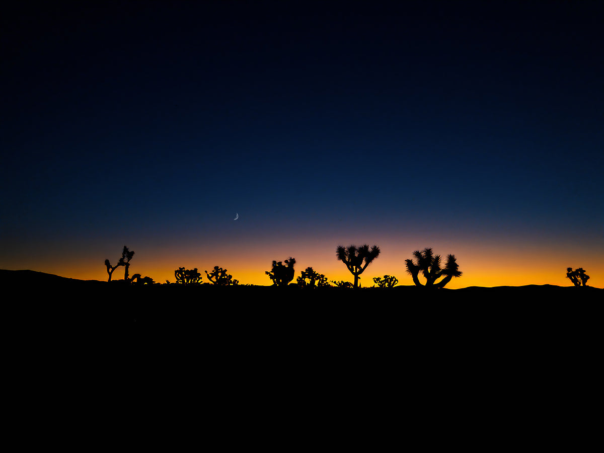 2501225 :: Giclée Fine Art Matte Paper Print