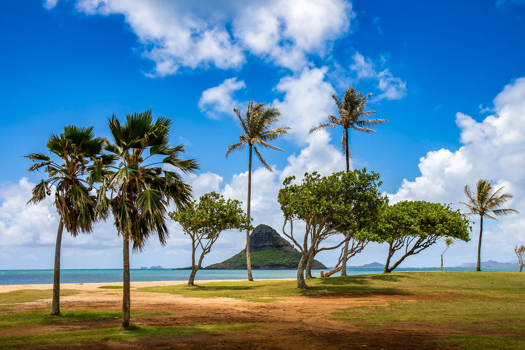 2501074 :: Giclée Fine Art Matte Paper Print