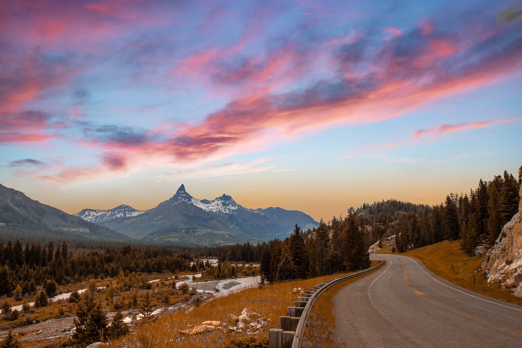 2501465 :: Giclée Rolled Canvas Print