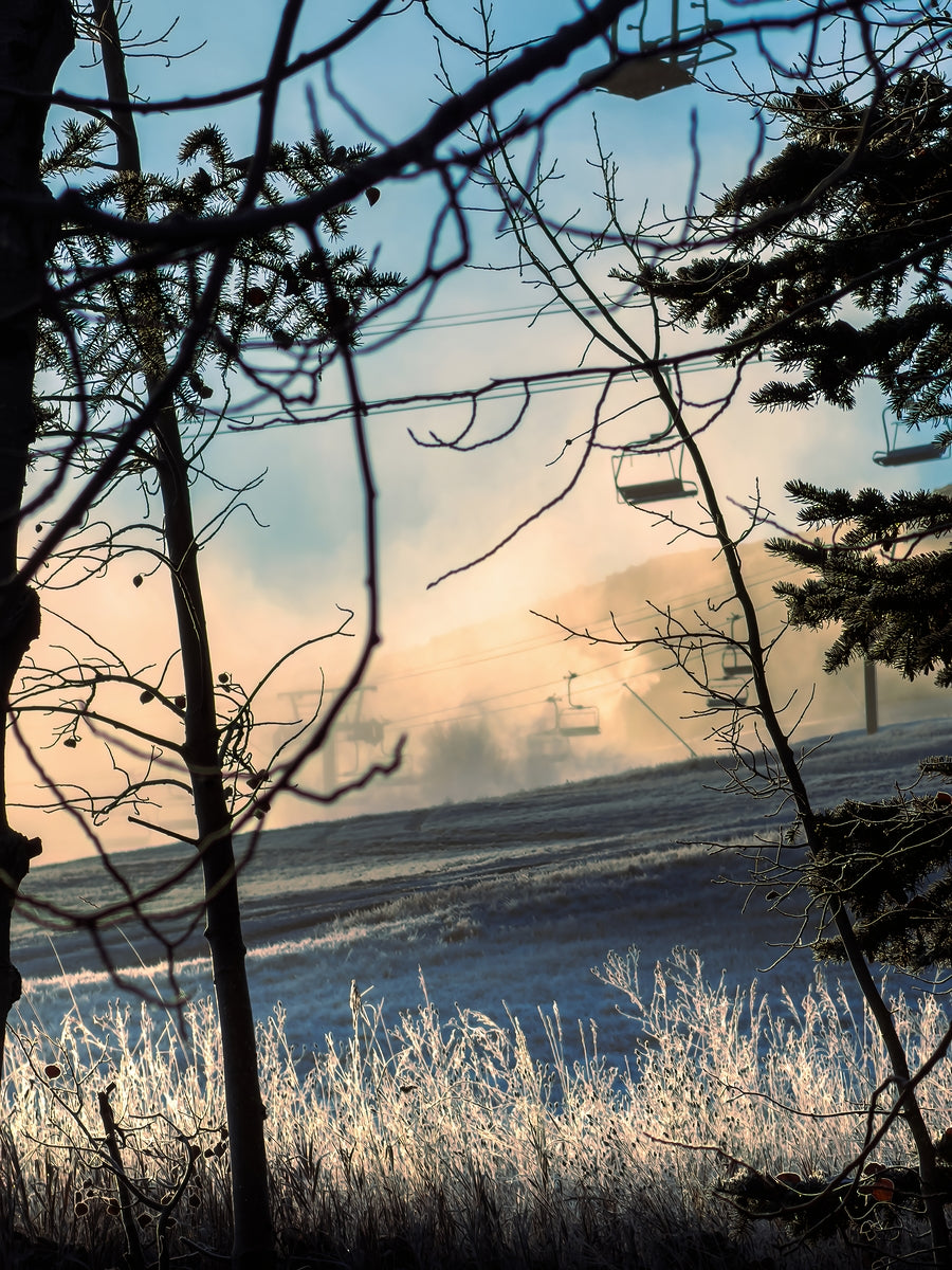 2500594 :: Giclée Fine Art Matte Paper Print