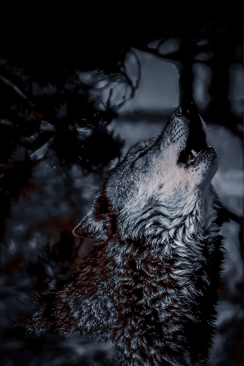 2501222 :: Giclée Fine Art Matte Paper Print