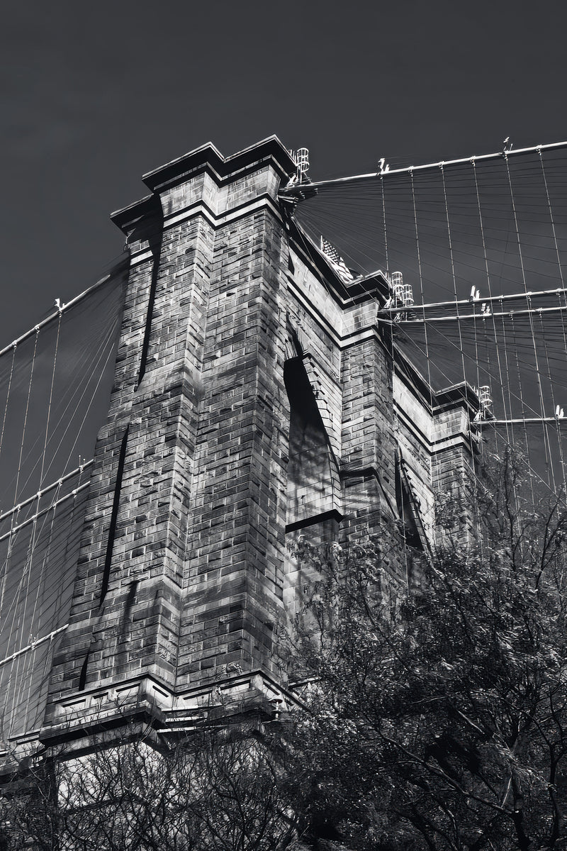 2501072 :: Giclée Rolled Canvas Print