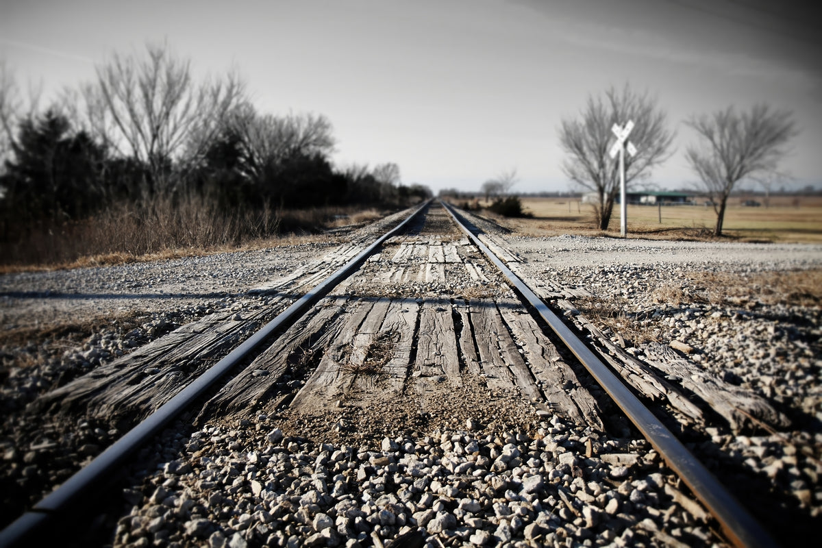 2521955 :: Giclée Fine Art Matte Paper Print