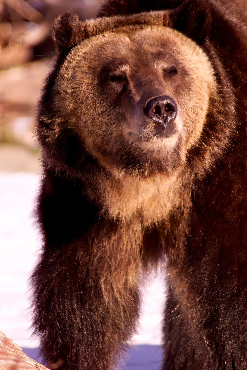 2501066 :: Giclée Fine Art Matte Paper Print