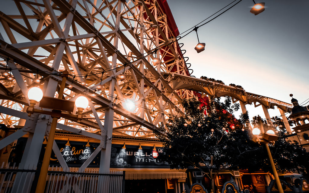 2501070 :: Giclée Rolled Canvas Print