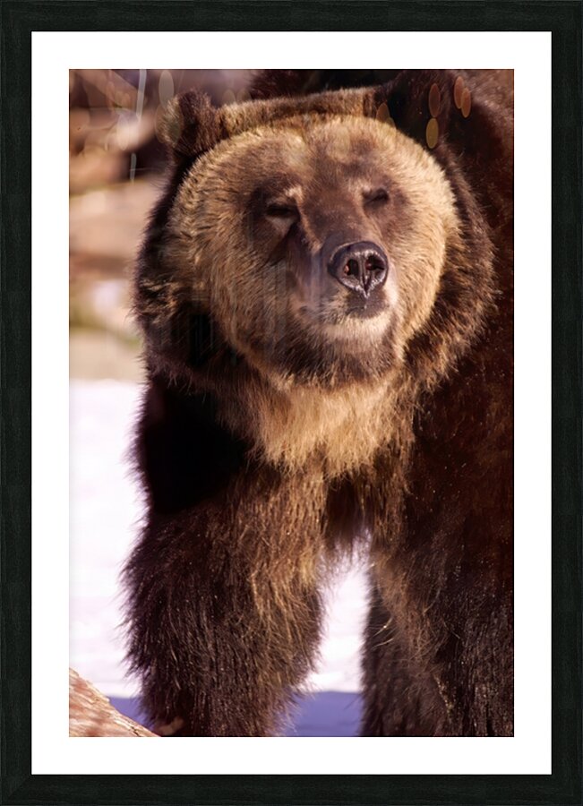 2501066 :: Framed Print