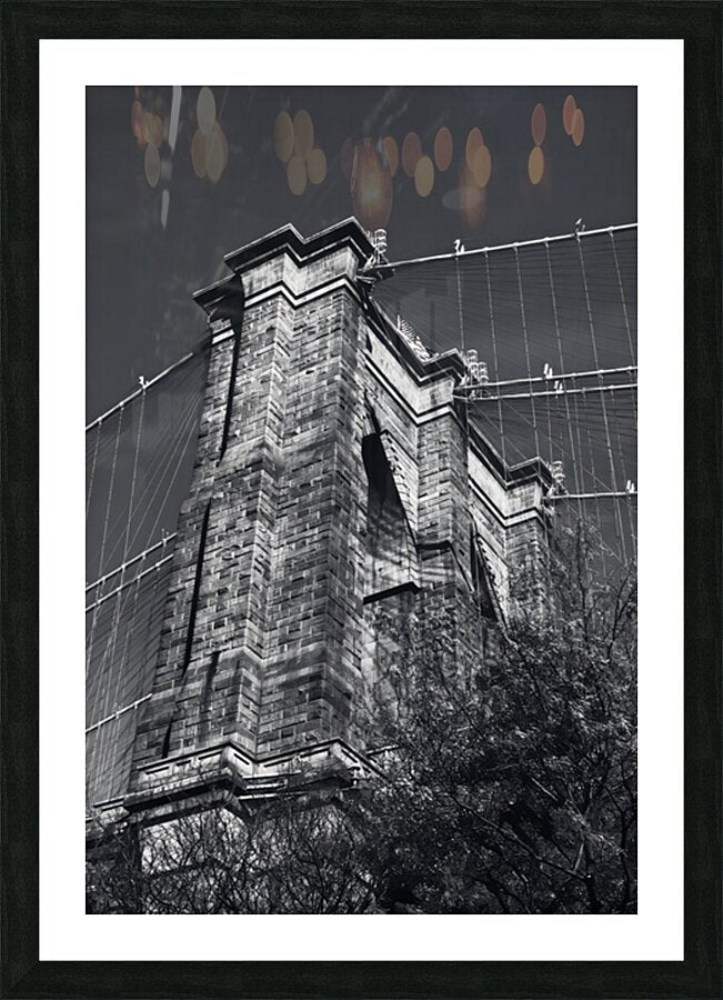 2501072 :: Framed Print