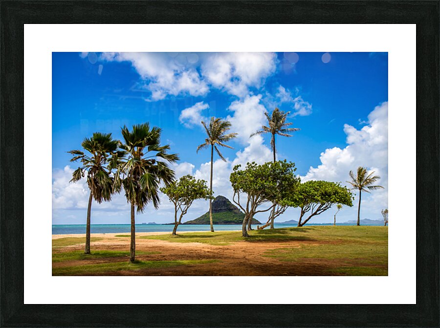 2501074 :: Framed Print