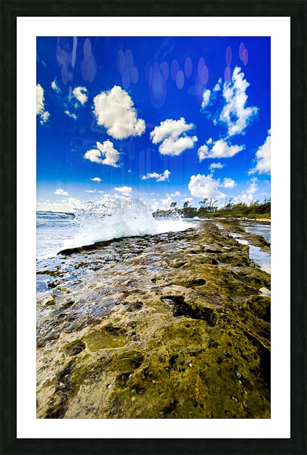 2501077 :: Framed Print