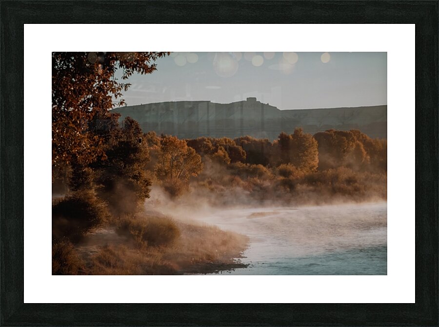 2501210 :: Framed Print