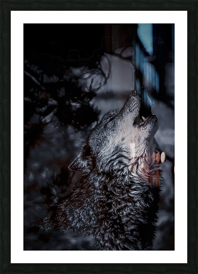 2501222 :: Framed Print