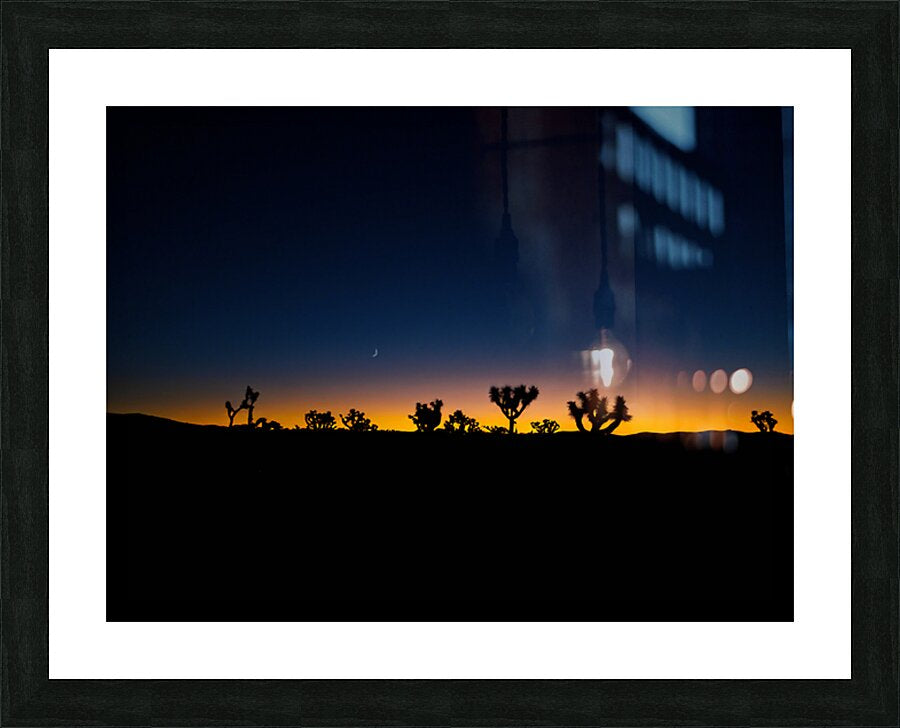 2501225 :: Framed Print