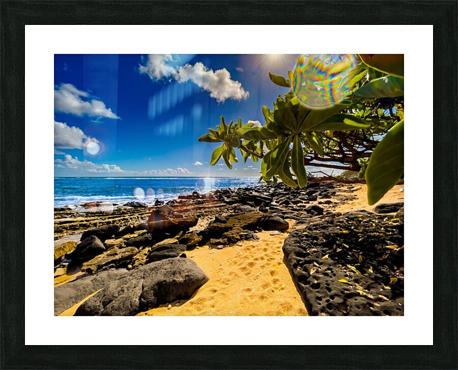 2501229 :: Framed Print
