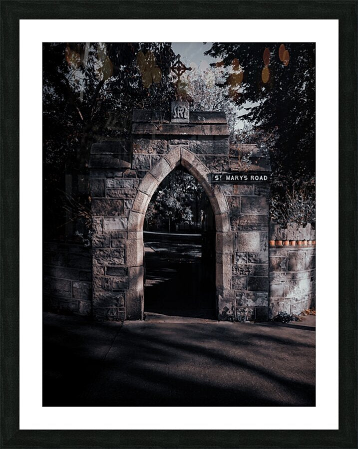2501237 :: Framed Print