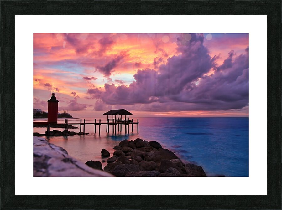 2501460 :: Framed Print