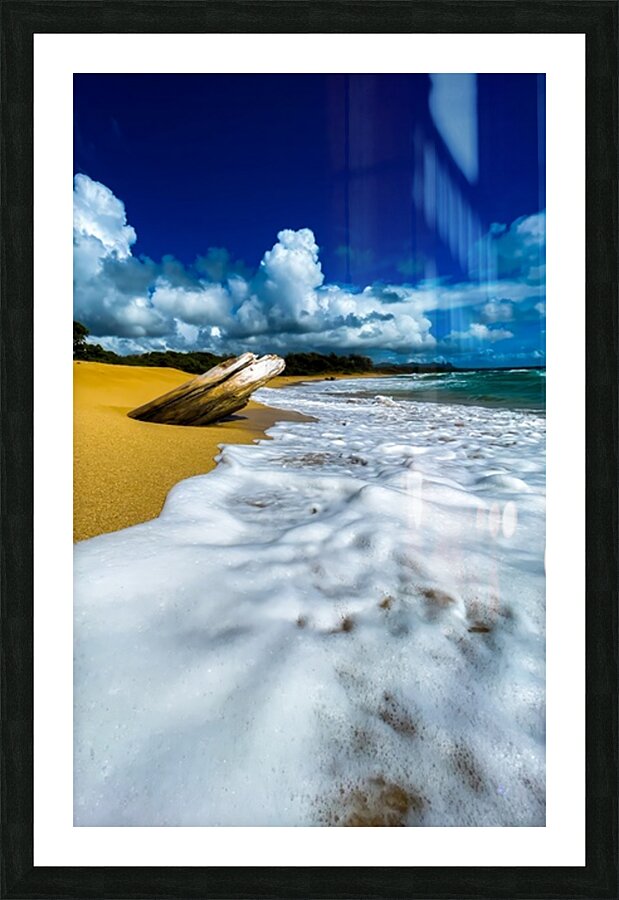 2501468 :: Framed Print
