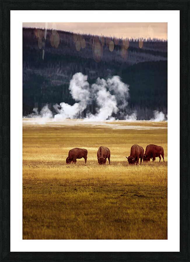 2501489 :: Framed Print