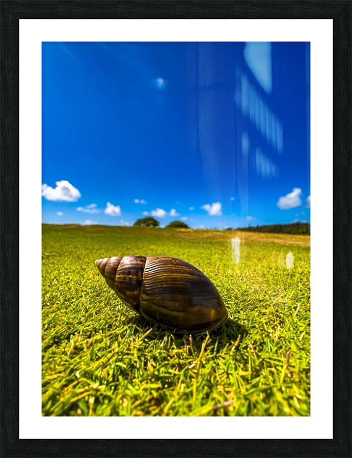 2501491 :: Framed Print