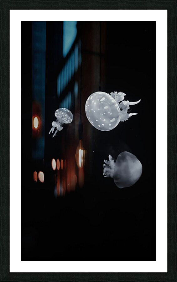 2501498 :: Framed Print