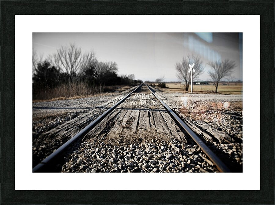 2521955 :: Framed Print