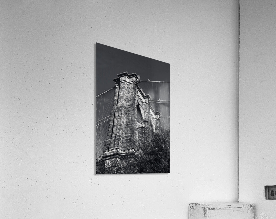 2501072 :: Acrylic Print