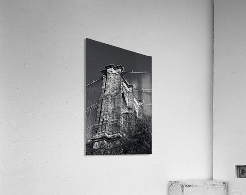 2501072 :: Acrylic Print