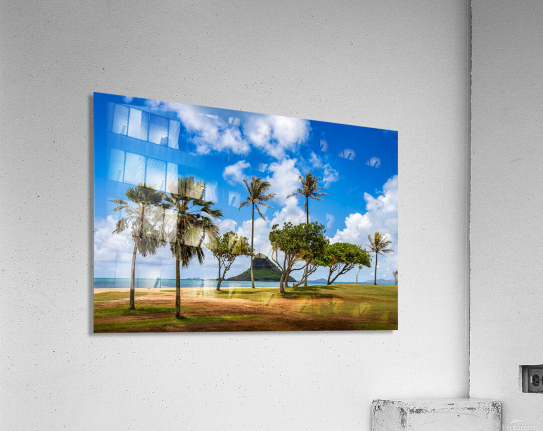 2501074 :: Acrylic Print