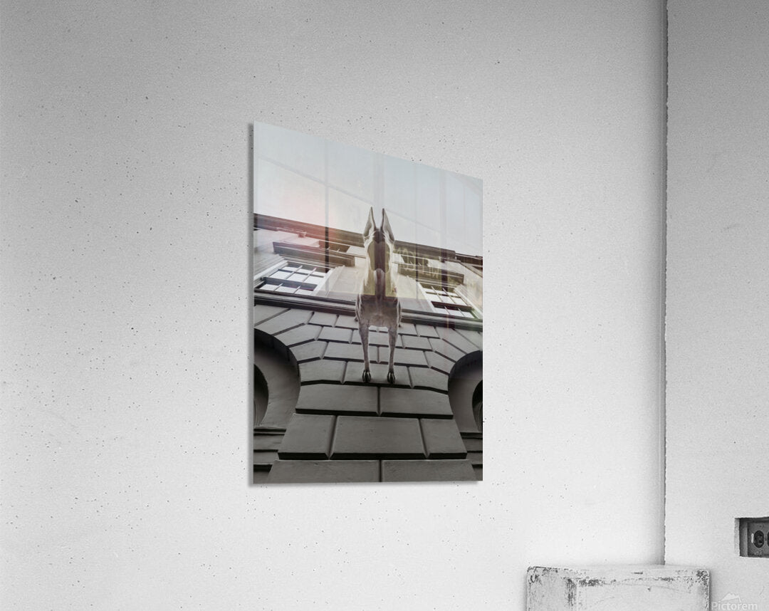 2501086 :: Acrylic Print