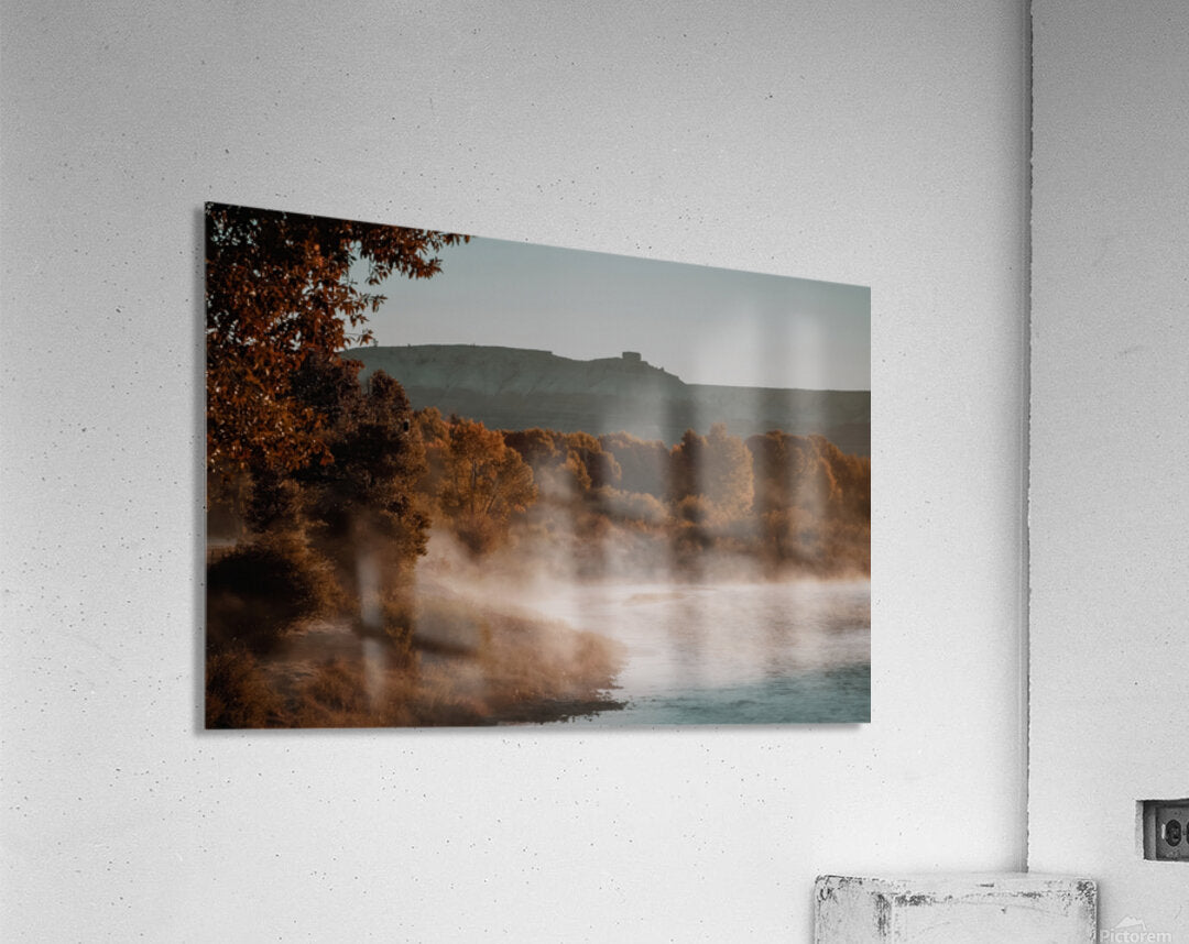 2501210 :: Acrylic Print