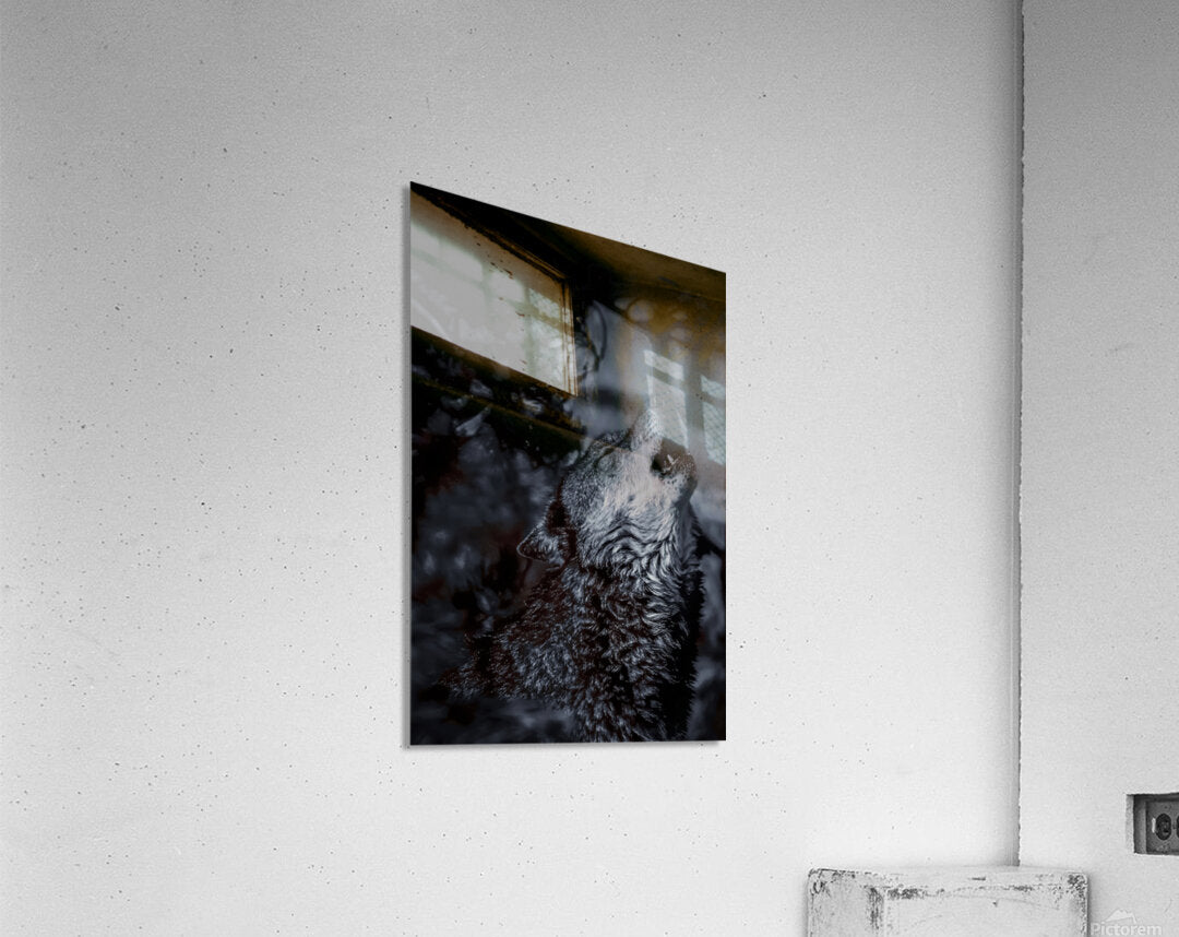 2501222 :: Acrylic Print