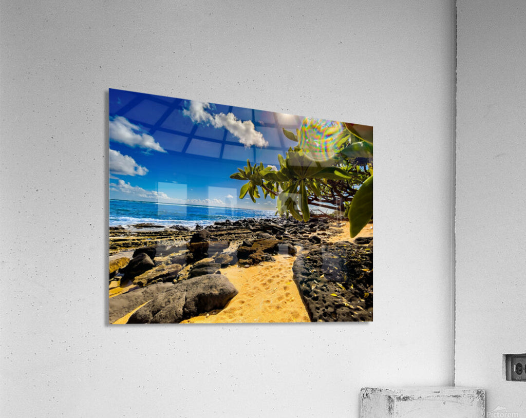 2501229 :: Acrylic Print