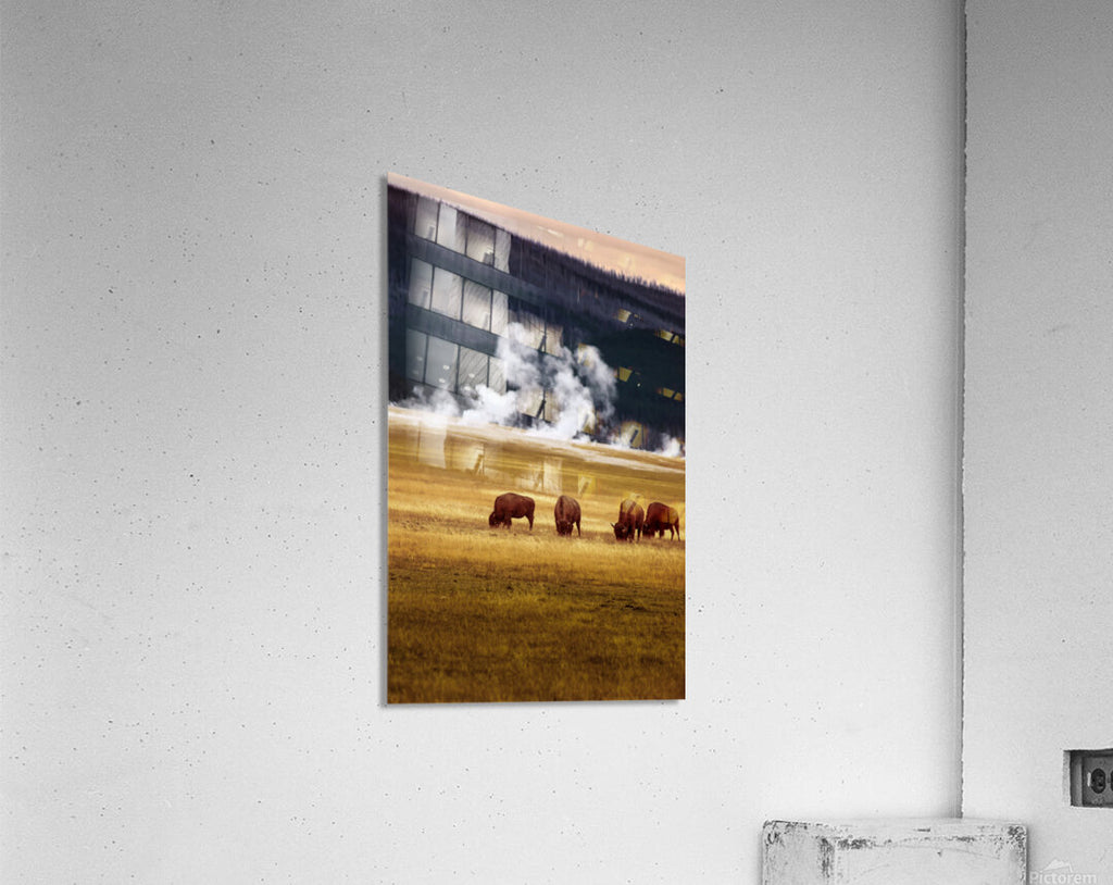 2501489 :: Acrylic Print