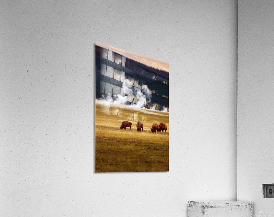 2501489 :: Acrylic Print