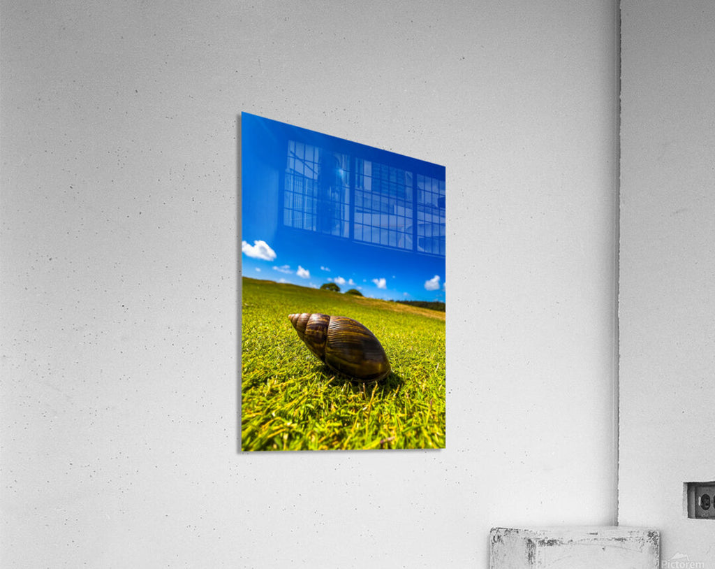 2501491 :: Acrylic Print