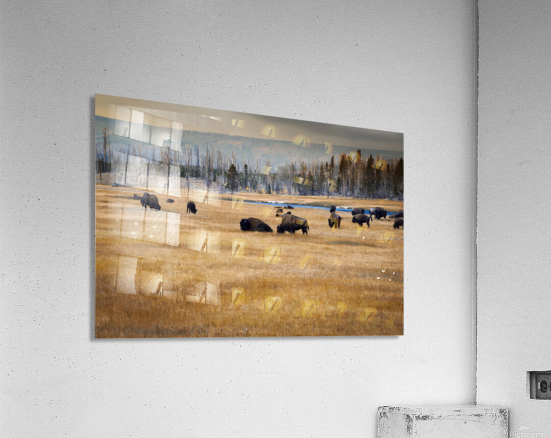 2501497 :: Acrylic Print