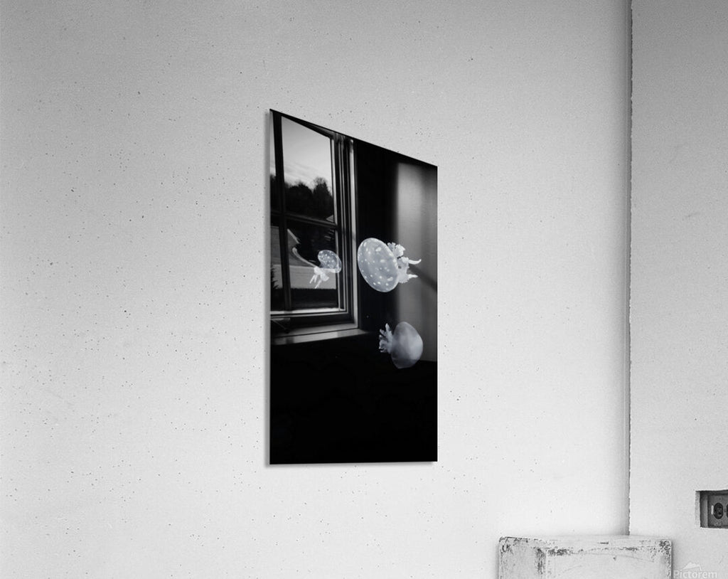 2501498 :: Acrylic Print