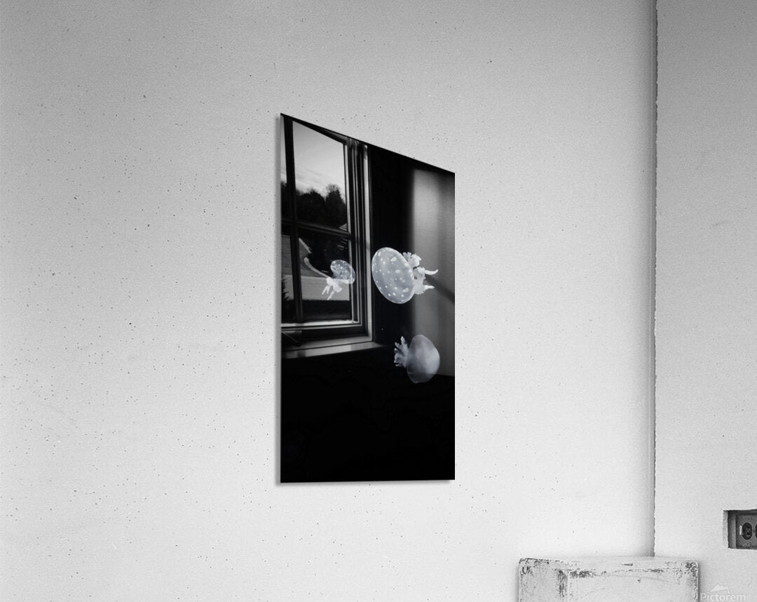 2501498 :: Acrylic Print