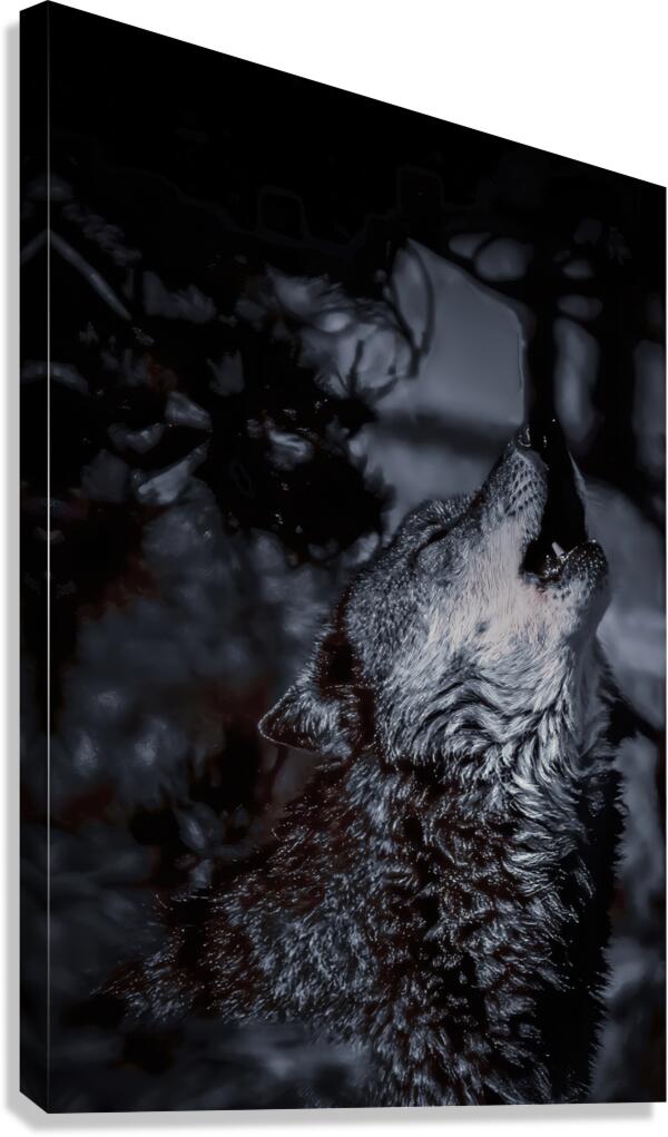 2501222 :: Giclée Stretched Canvas Print