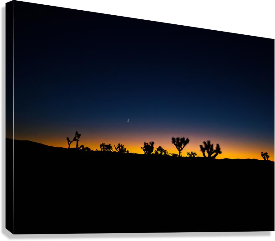 2501225 :: Giclée Stretched Canvas Print
