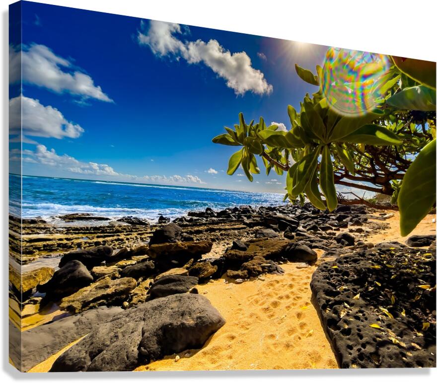 2501229 :: Giclée Stretched Canvas Print