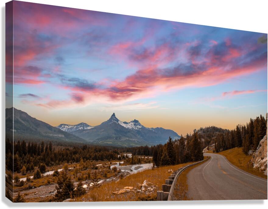 2501465 :: Giclée Stretched Canvas Print