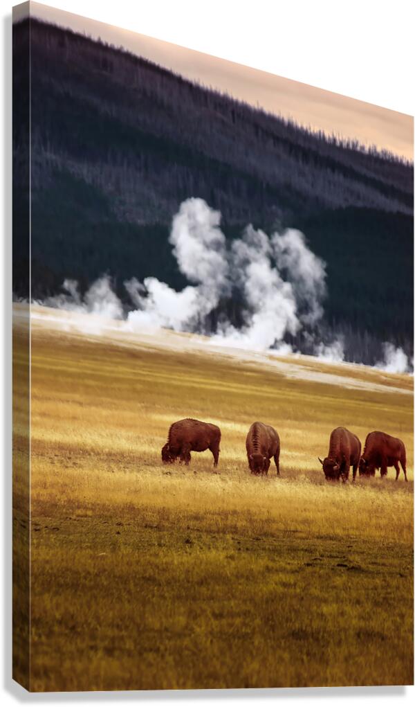 2501489 :: Giclée Stretched Canvas Print