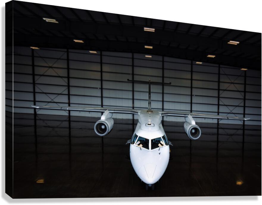 2507007 :: Giclée Stretched Canvas Print